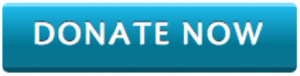 Donate Now Button