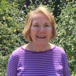 Anne Seeley