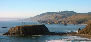 Keep Our Beaches Free!