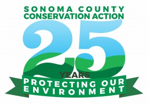 scca_25th_anniv_logo_final_1_color